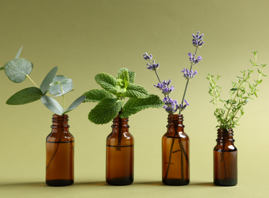 Herbal Products and Wellness